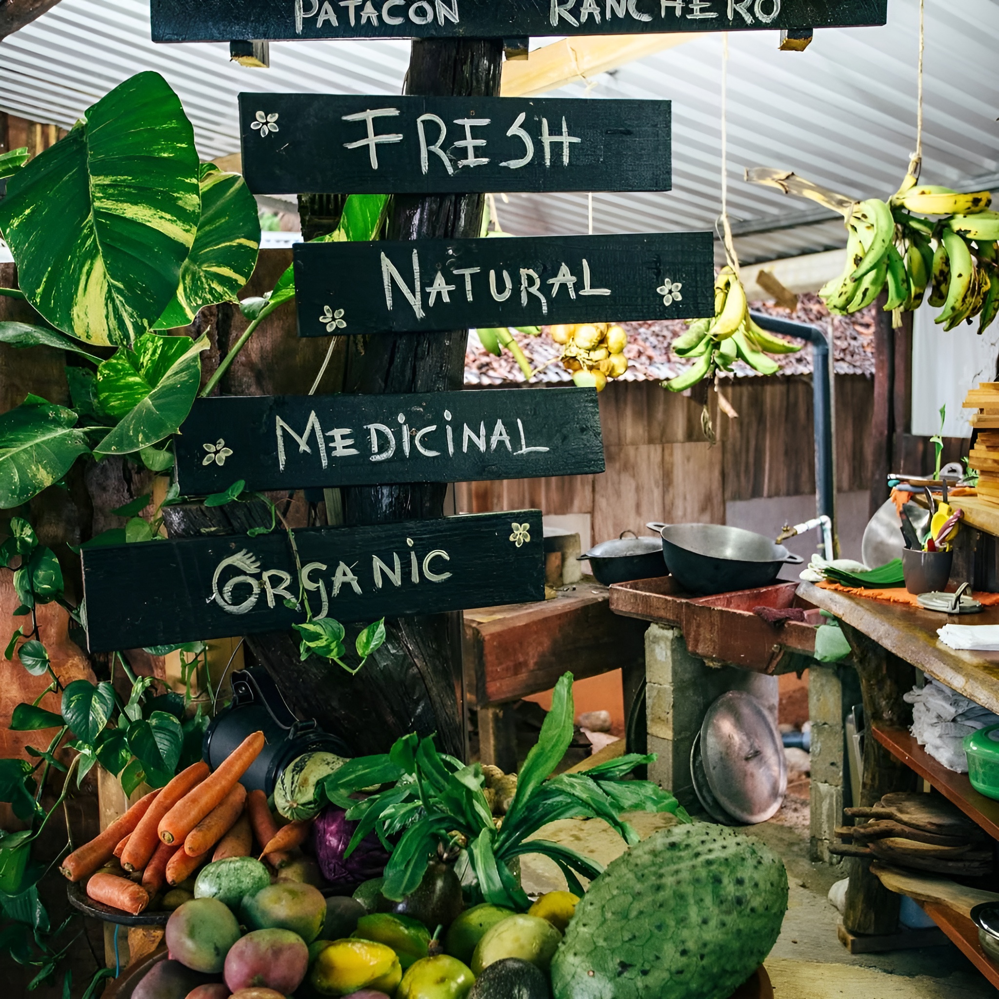 Fresh organic tropical produce grown at Rancho Cielo Alto family farm